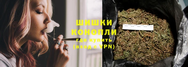 тгк Вяземский