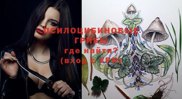 тгк Вяземский
