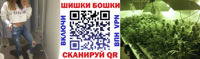 где купить наркоту  Жуковка  Бошки марихуана марихуана 